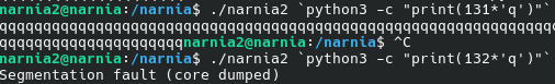 Segfault at 132 chars
